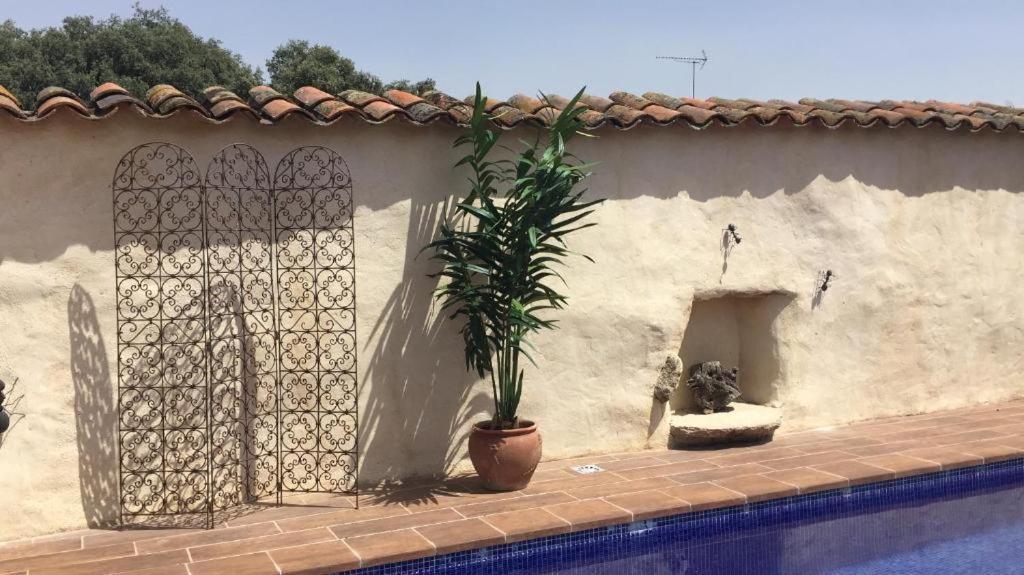 La Casa De La Duquesa Vakantiehuis
